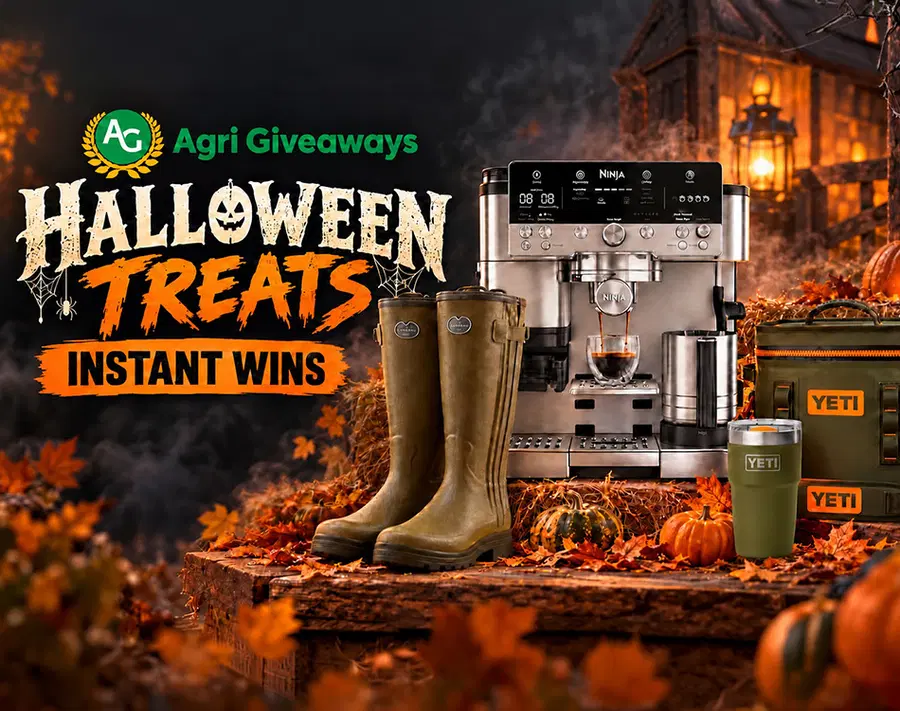 Halloween Treats Instant Win