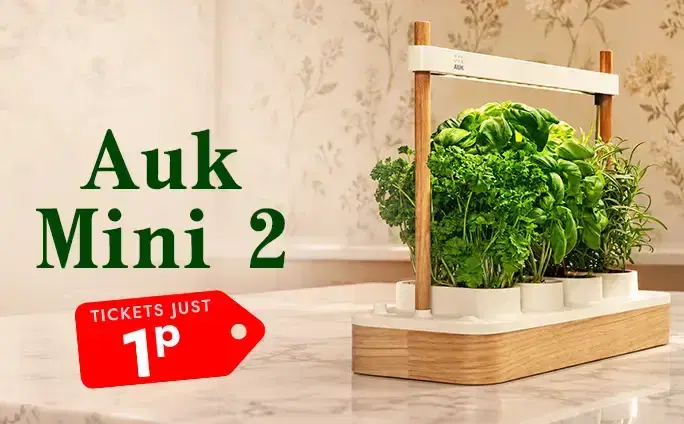 Auk Mini 2