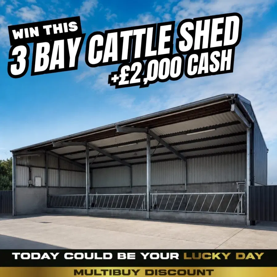 3 Bay Cattle Shed & £2,000 Tax Free Cash