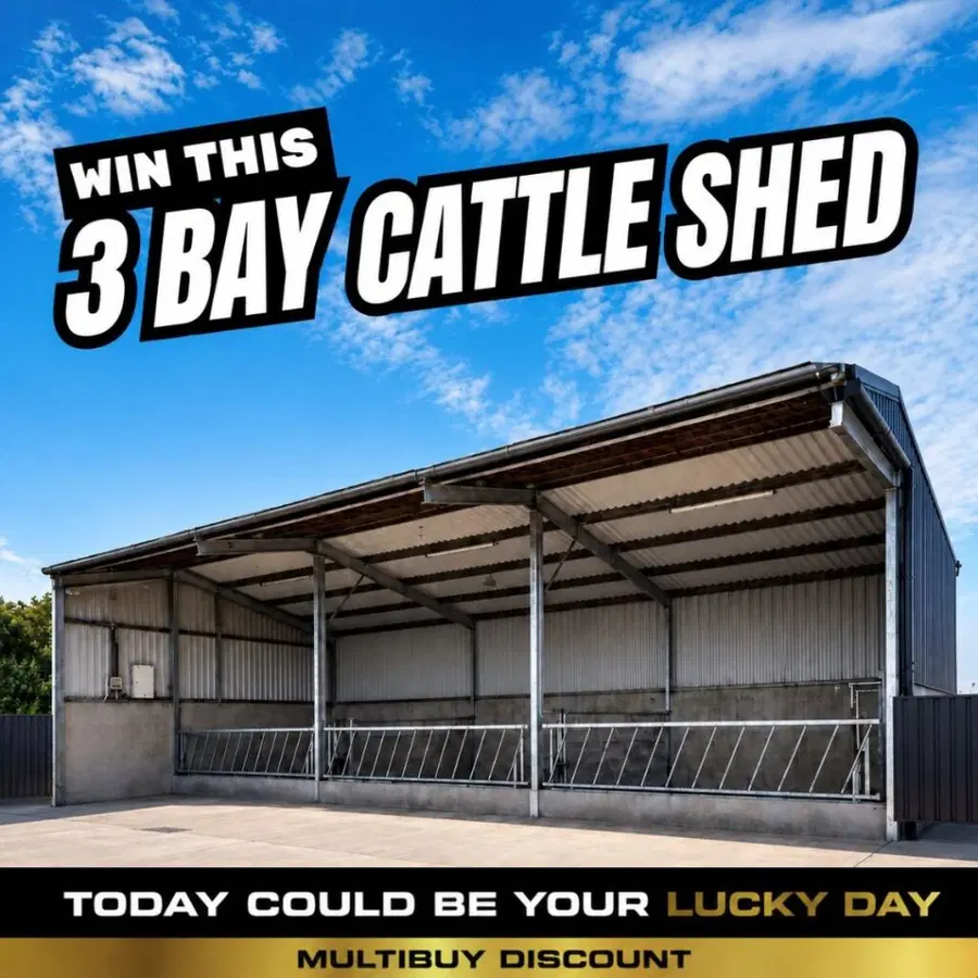 3 Bay Cattle Shed