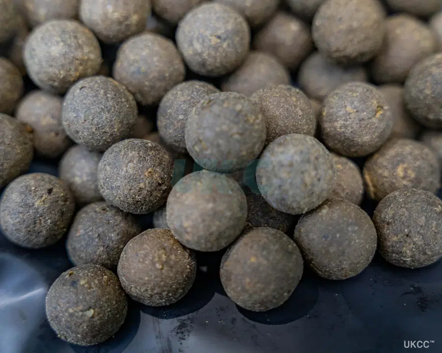 25KG MAINLINE ISO FISH!