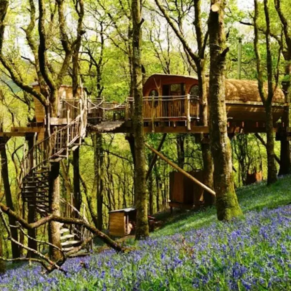 2 Nights Treehouse stay for 4 in Wales