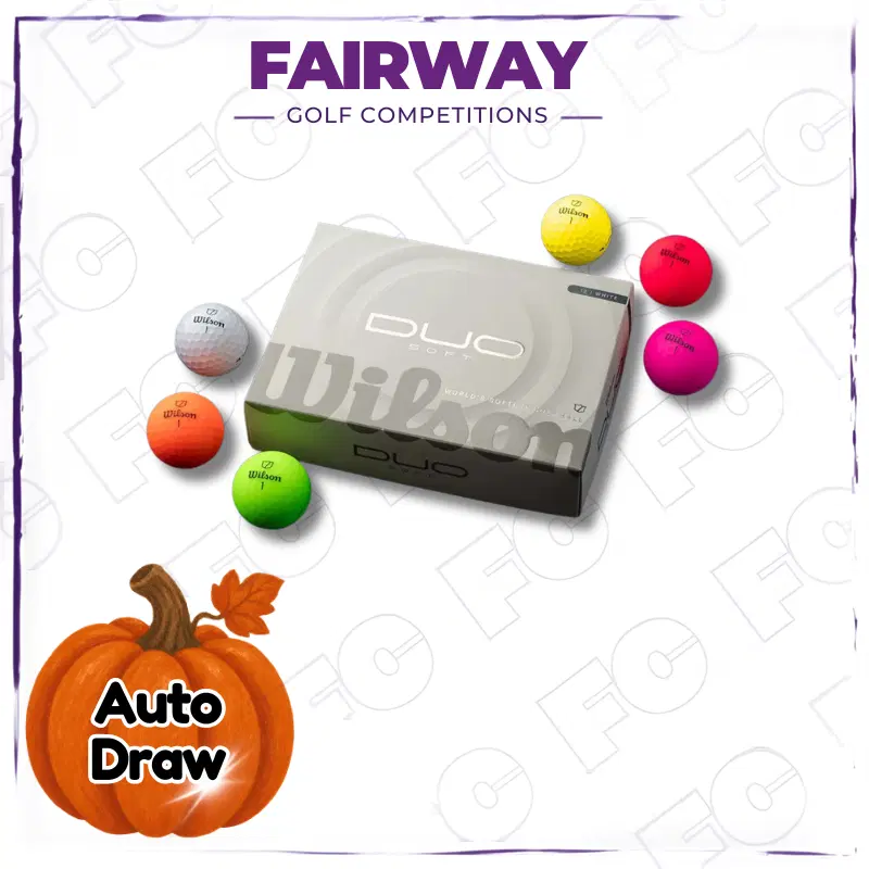 WIN 1 Dozen Wilson DUO Soft Golf Ball Pack of choice! – AUTO DRAW
