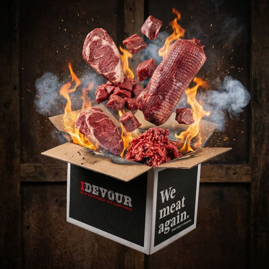 iDevour Medium Essentials Meat Box