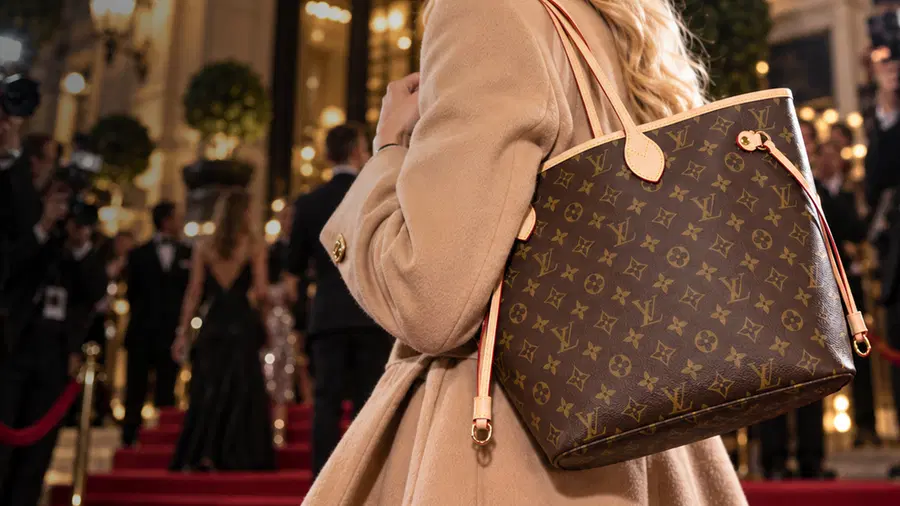 Louis Vuitton Neverfull MM Tote Bag + Cash