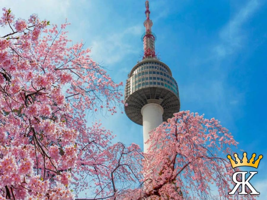 9 Nights South Korea