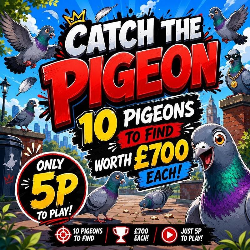 CATCH THE PIGEON DRAW!!