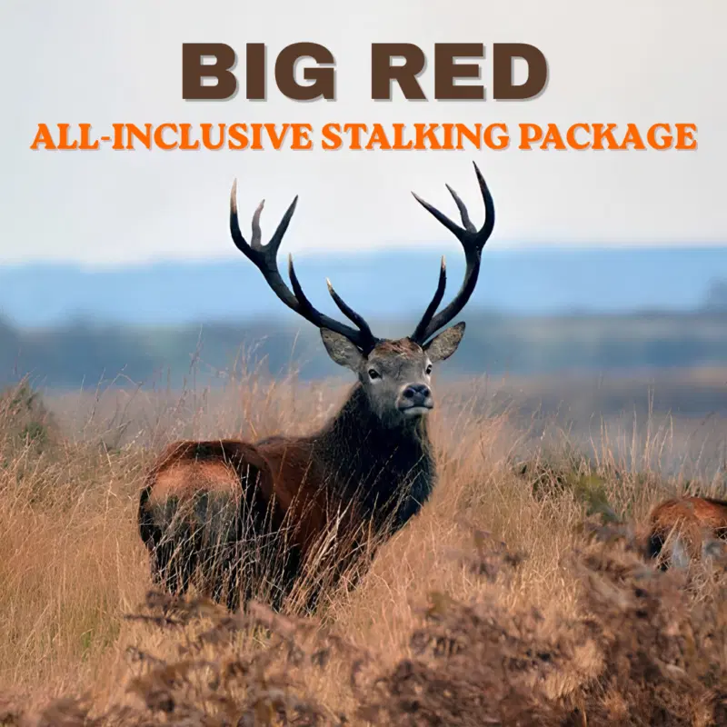 Big Red All-Inclusive Stalking Package In Derbyshire