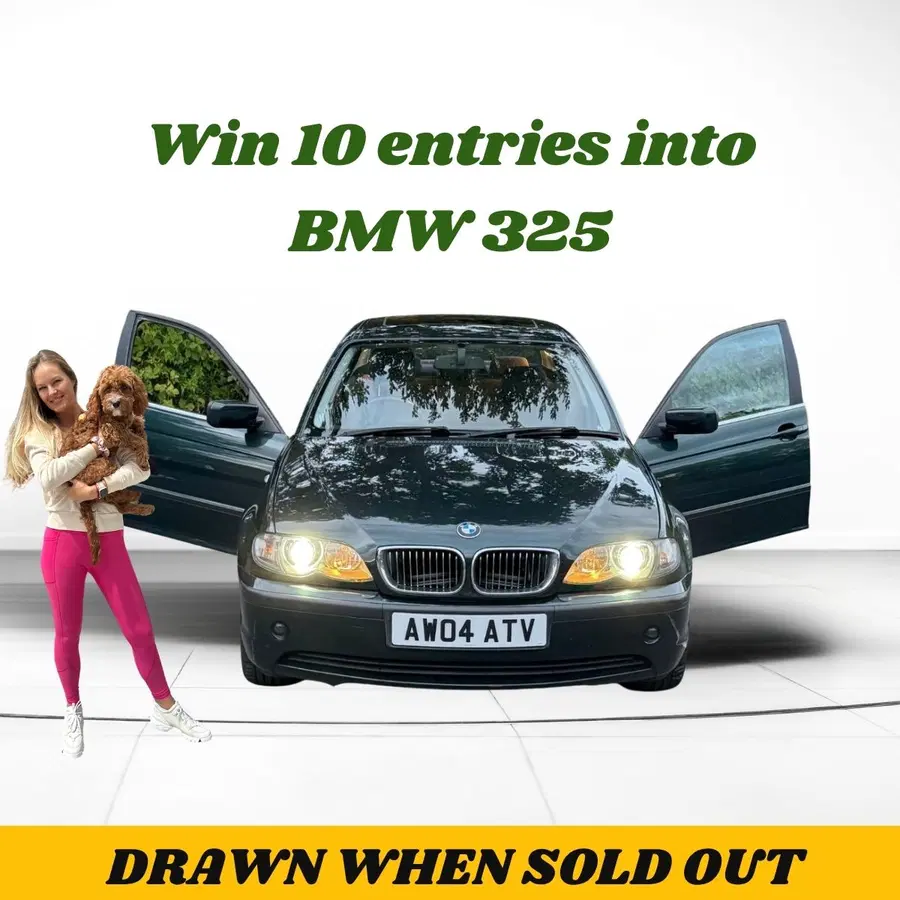 Win 10 entries into BMW 325 (AutoDraw)