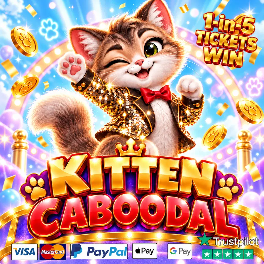 😻 KITTEN CABOODAL 😻
