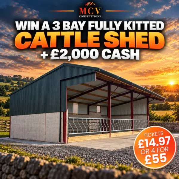 3 BAY FULLY KITTED CATTLE SHED + £2000
