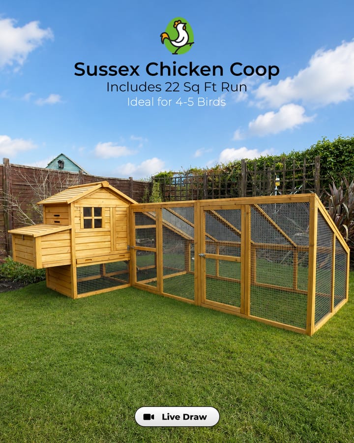 Sussex Chicken Coop & 22 Sq Ft Run (4-5 Birds)