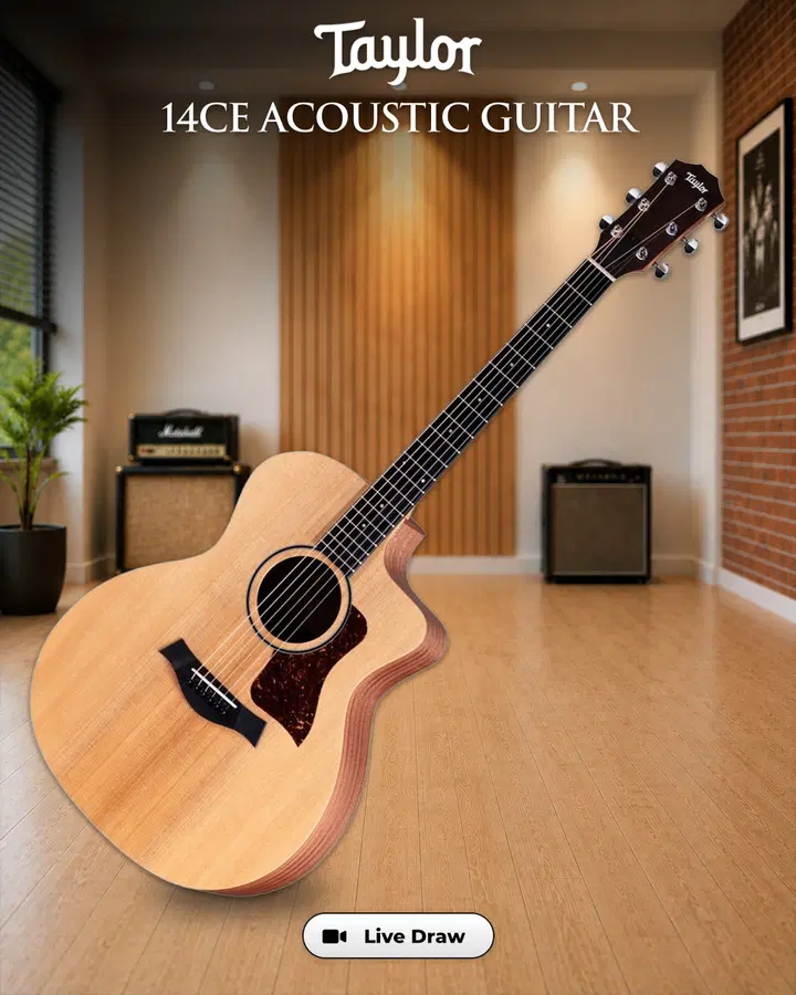 Taylor 14ce Acoustic Guitar