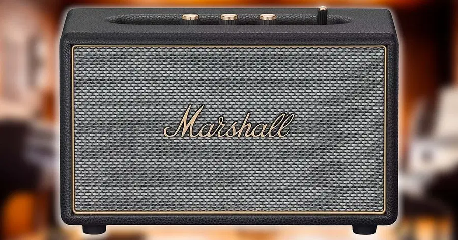 Marshall Acton IV Speaker